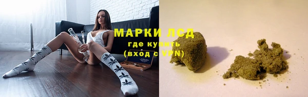 дживик Майский