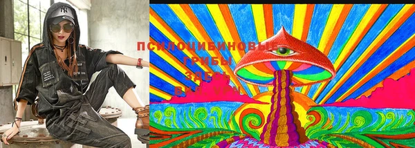 МДПВ Магадан