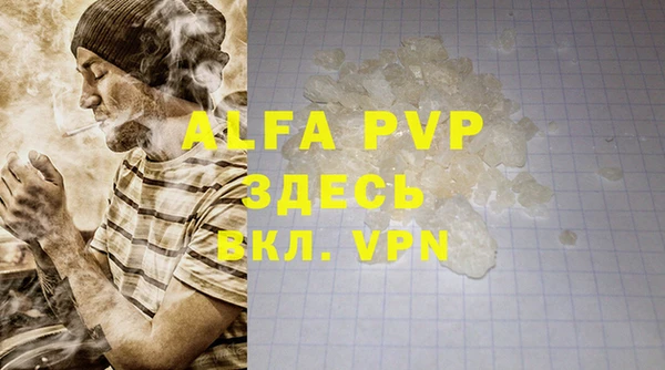 дживик Майский