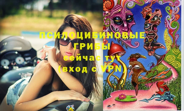 МДПВ Магадан
