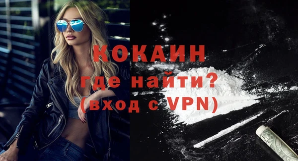 дживик Майский