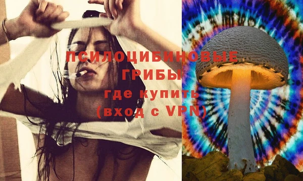 герыч Магас