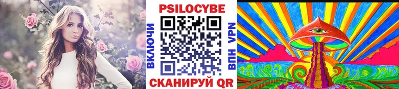 Галлюциногенные грибы Psilocybine cubensis  Нефтегорск 