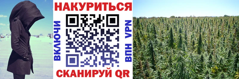 Бошки Шишки Bruce Banner Нефтегорск